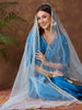 Pastel Blue Embellished Net Dupatta