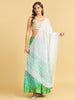 Organza Dupatta with Self Deisgned Sheer Border