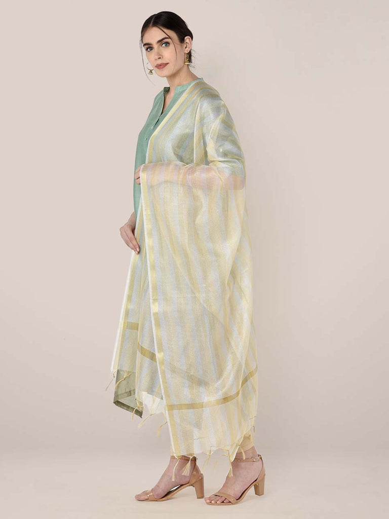 Tissue Silk Gold Silver Dupatta with Stripes freeshipping - Dupatta Bazaar