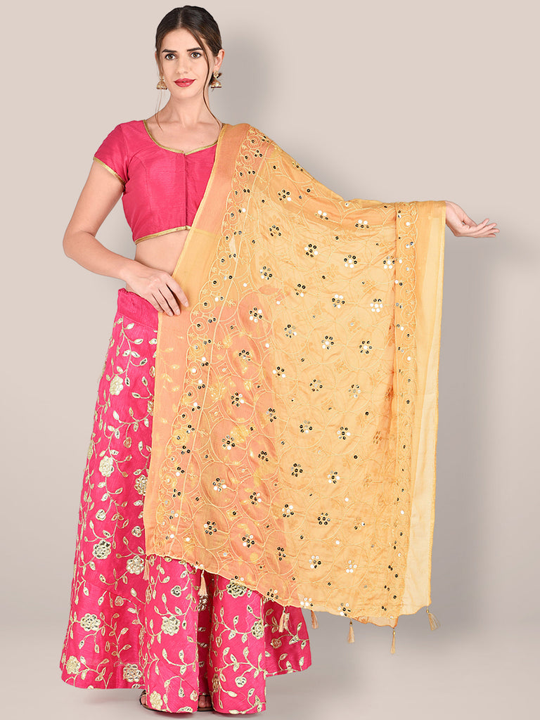 Embroidered Beige Chiffon Dupatta freeshipping - Dupatta Bazaar