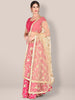 Embroidered Beige Net Dupatta. freeshipping - Dupatta Bazaar