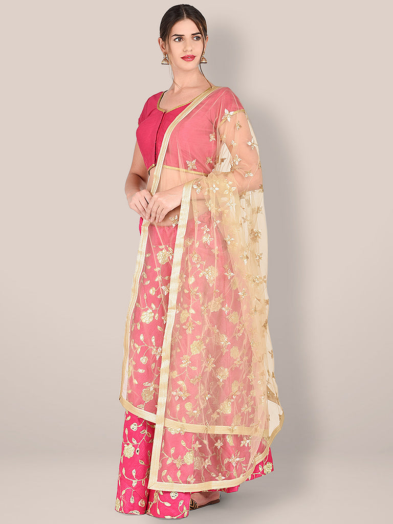 Embroidered Beige Net Dupatta. freeshipping - Dupatta Bazaar