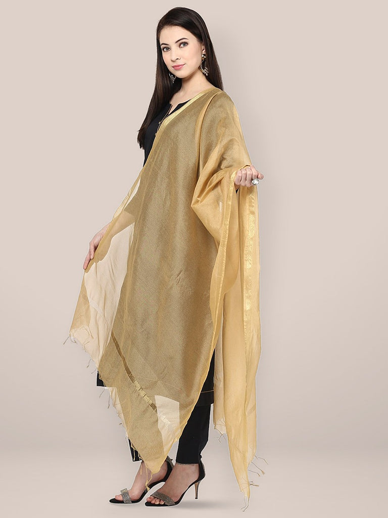 Beige Silk Dupatta freeshipping - Dupatta Bazaar