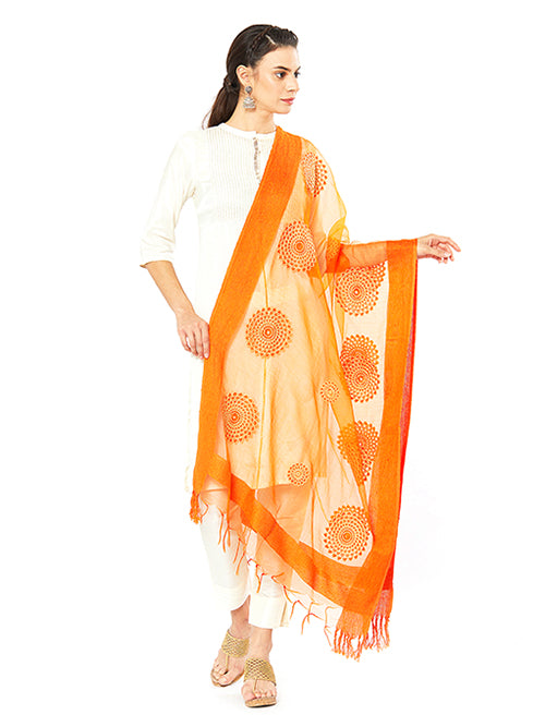 Dupatta Bazaar Woman's Organza Dupatta with Embroidery. - Dupatta Bazaar
